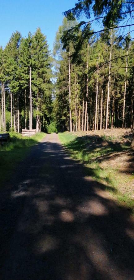 Ferienwohnung-Kiefer Hillscheid Exteriör bild